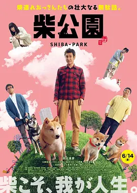 牛盟大联盟