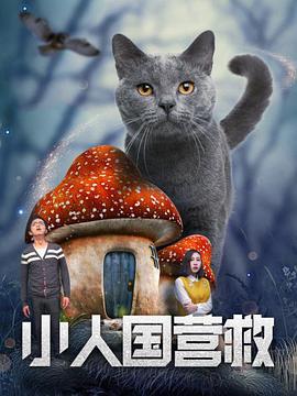 年少轻狂的少年