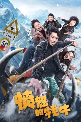 亚洲视频在线观看不卡