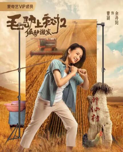 美女黄免费