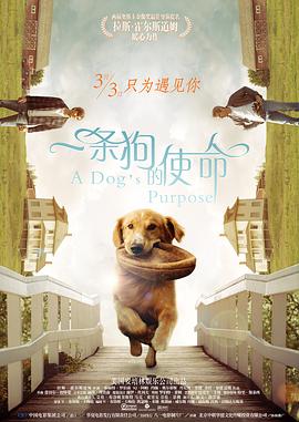 在线观看免费精品国产