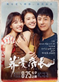 丁香婷婷久久