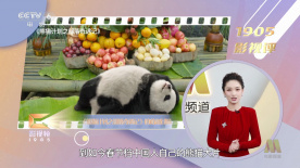 婷婷久